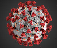 COVID-19 corona virus